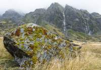 Marks Flat, Hooker - Landsborough Wilderness Area, Southern Alps, New Zealand.
